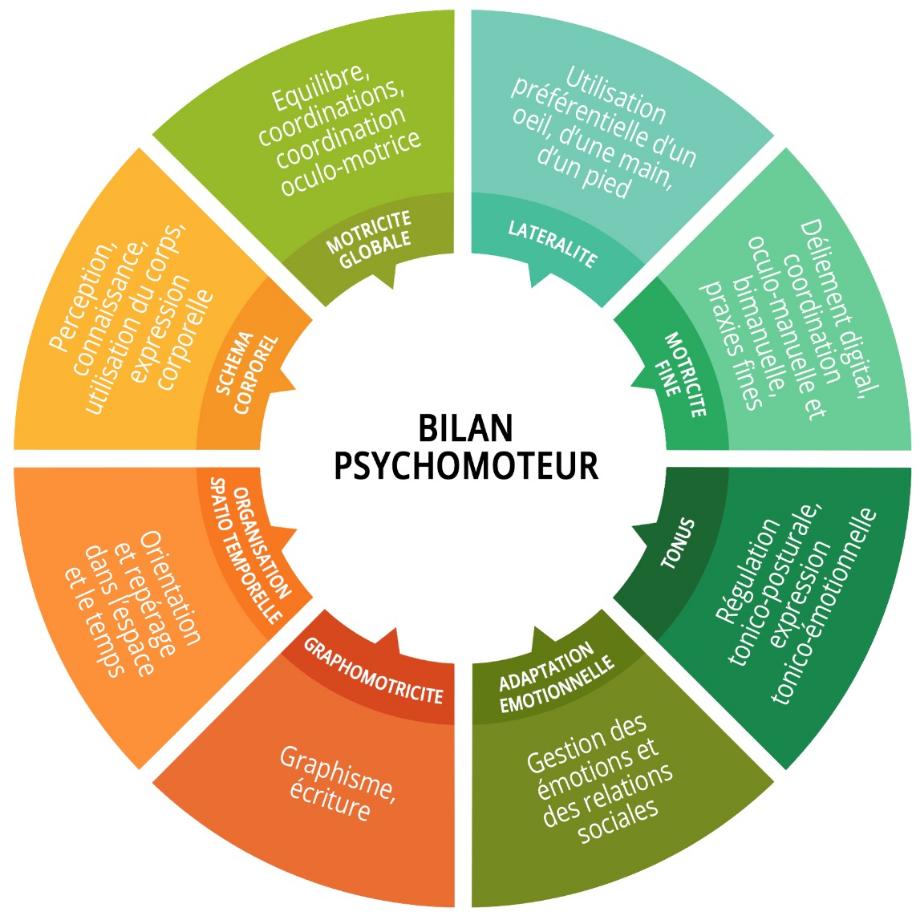 Le Bilan Psychomoteur Psychomotricite Ingrande 